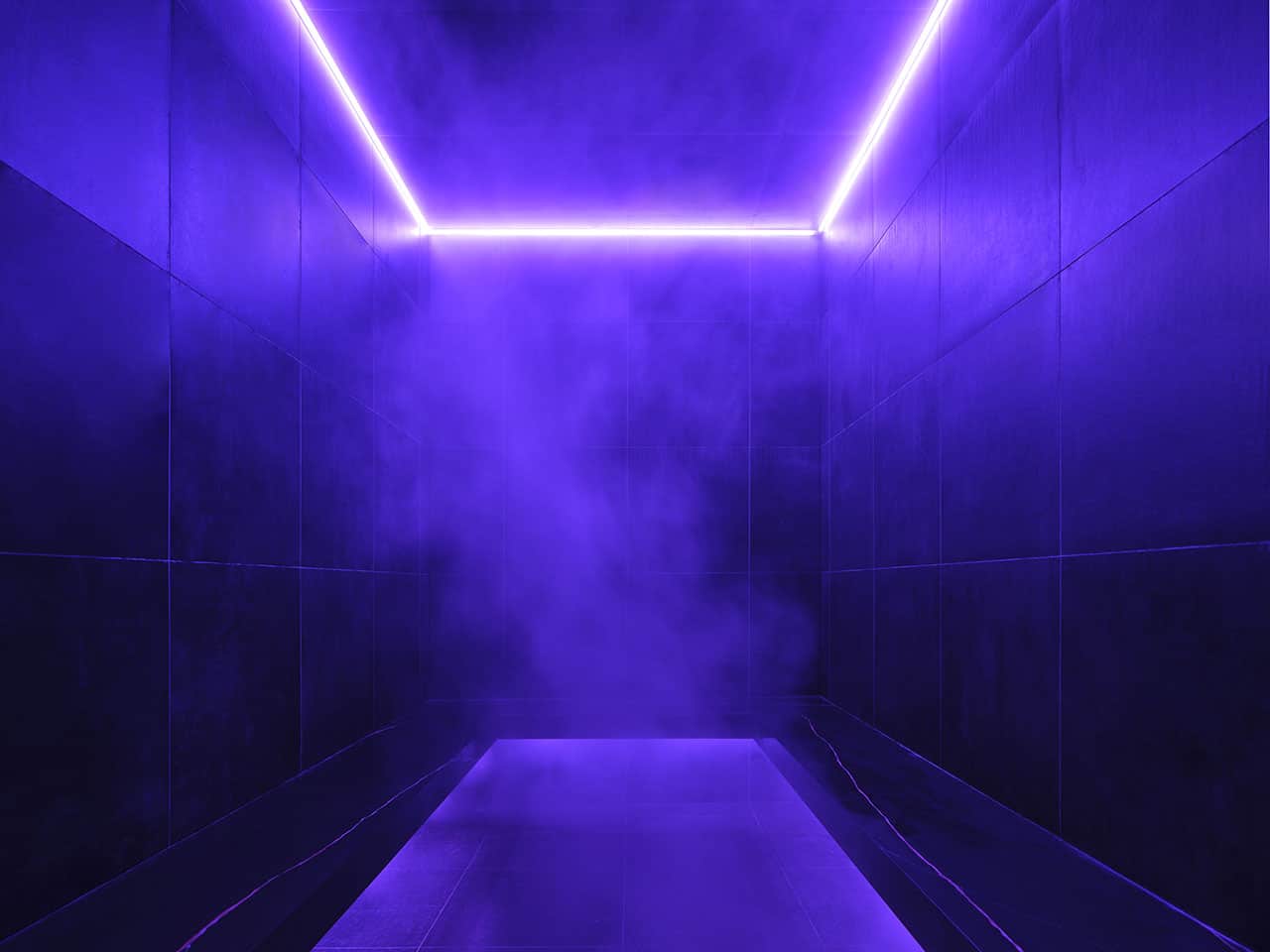 Steam Sauna